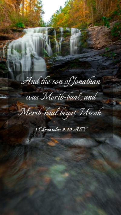 Picture 03 - 1 Chronicles 9:40 ASV Mobile Phone Wallpaper - And the son of Jonathan was Merib-baal; and - Mobile Bible Verse Wallpaper