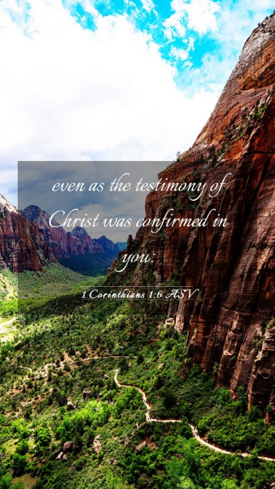Picture 03 - 1 Corinthians 1:6 ASV Mobile Phone Wallpaper - even as the testimony of Christ was confirmed in - Mobile Bible Verse Wallpaper