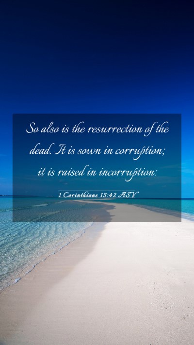 Picture 03 - 1 Corinthians 15:42 ASV Mobile Phone Wallpaper - So also is the resurrection of the dead. It is - Mobile Bible Verse Wallpaper
