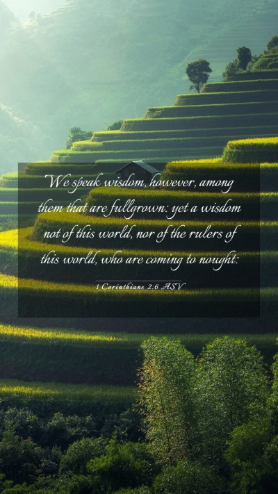 Picture 03 - 1 Corinthians 2:6 ASV Mobile Phone Wallpaper - We speak wisdom, however, among them that are - Mobile Bible Verse Wallpaper