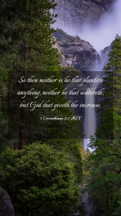 Picture 03 - 1 Corinthians 3:7 ASV Mobile Phone Wallpaper - So then neither is he that planteth anything, - Mobile Bible Verse Wallpaper