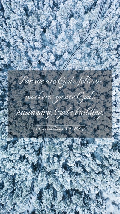 Picture 03 - 1 Corinthians 3:9 ASV Mobile Phone Wallpaper - For we are God's fellow-workers: ye are God's - Mobile Bible Verse Wallpaper