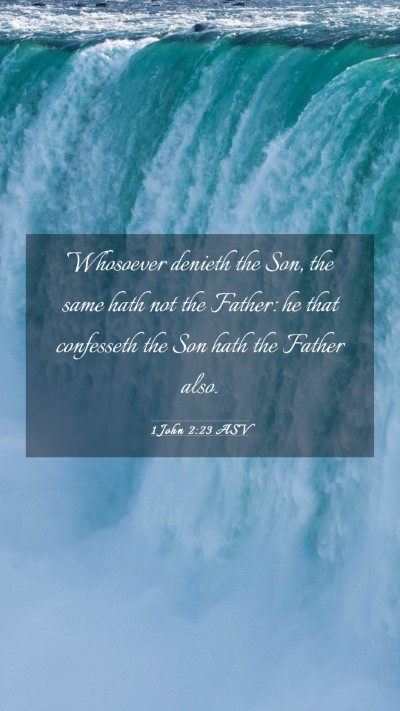 Picture 03 - 1 John 2:23 ASV Mobile Phone Wallpaper - Whosoever denieth the Son, the same hath not the - Mobile Bible Verse Wallpaper