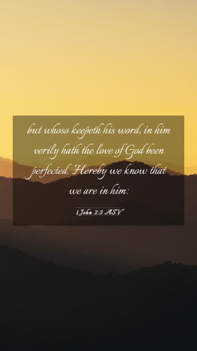 Picture 03 - 1 John 2:5 ASV Mobile Phone Wallpaper - but whoso keepeth his word, in him verily hath - Mobile Bible Verse Wallpaper