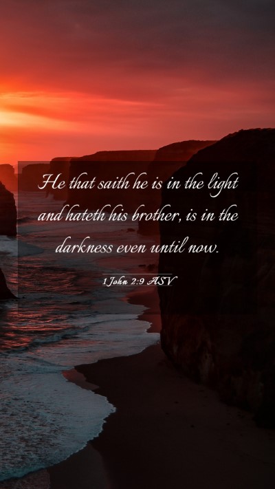 Picture 03 - 1 John 2:9 ASV Mobile Phone Wallpaper - He that saith he is in the light and hateth his - Mobile Bible Verse Wallpaper