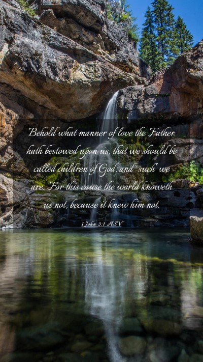 Picture 03 - 1 John 3:1 ASV Mobile Phone Wallpaper - Behold what manner of love the Father hath - Mobile Bible Verse Wallpaper