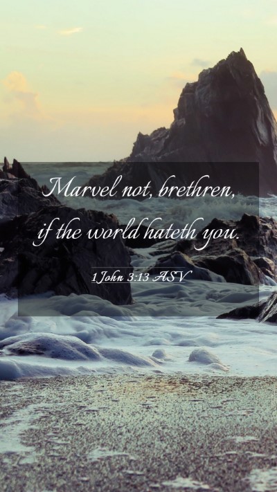 Picture 03 - 1 John 3:13 ASV Mobile Phone Wallpaper - Marvel not, brethren, if the world hateth - Mobile Bible Verse Wallpaper