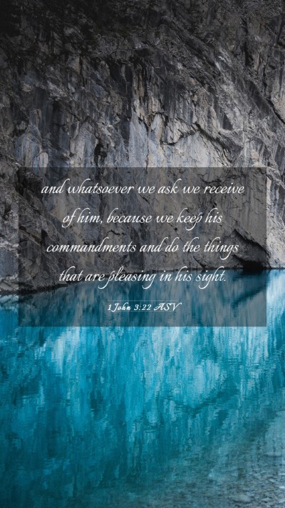 Picture 03 - 1 John 3:22 ASV Mobile Phone Wallpaper - and whatsoever we ask we receive of him, because - Mobile Bible Verse Wallpaper