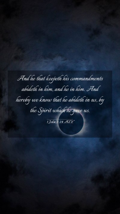 Picture 03 - 1 John 3:24 ASV Mobile Phone Wallpaper - And he that keepeth his commandments abideth in - Mobile Bible Verse Wallpaper