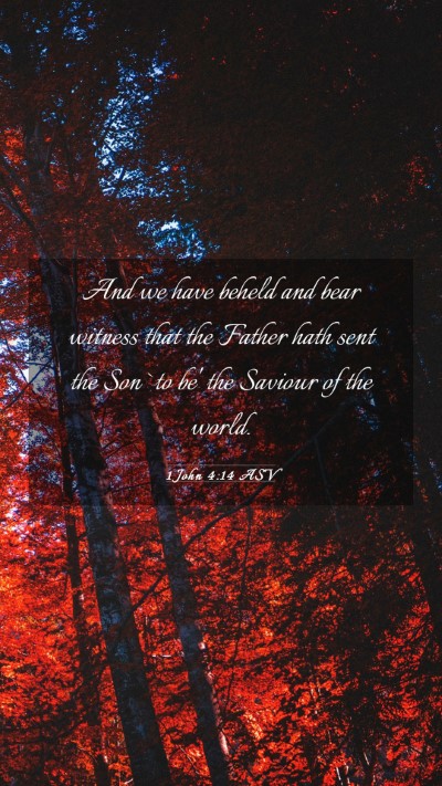 Picture 03 - 1 John 4:14 ASV Mobile Phone Wallpaper - And we have beheld and bear witness that the - Mobile Bible Verse Wallpaper