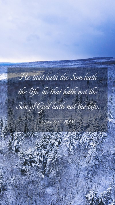 Picture 03 - 1 John 5:12 ASV Mobile Phone Wallpaper - He that hath the Son hath the life; he that hath - Mobile Bible Verse Wallpaper