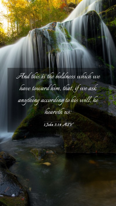 Picture 03 - 1 John 5:14 ASV Mobile Phone Wallpaper - And this is the boldness which we have toward - Mobile Bible Verse Wallpaper