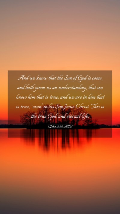 Picture 03 - 1 John 5:20 ASV Mobile Phone Wallpaper - And we know that the Son of God is come, and hath - Mobile Bible Verse Wallpaper