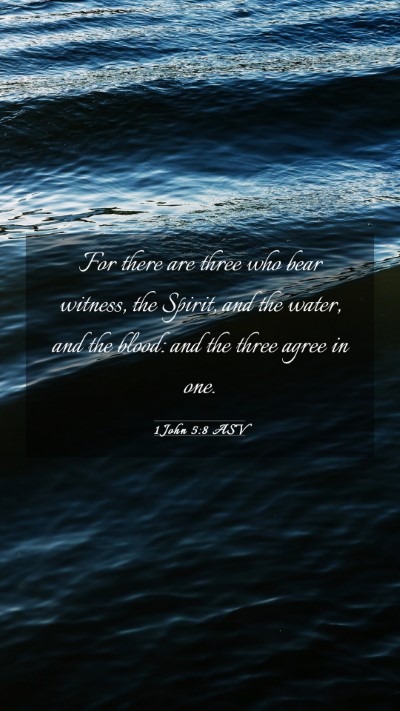Picture 03 - 1 John 5:8 ASV Mobile Phone Wallpaper - For there are three who bear witness, the Spirit, - Mobile Bible Verse Wallpaper