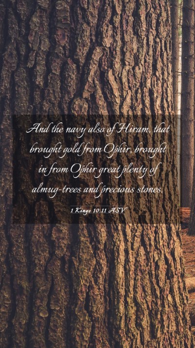 Picture 03 - 1 Kings 10:11 ASV Mobile Phone Wallpaper - And the navy also of Hiram, that brought gold - Mobile Bible Verse Wallpaper