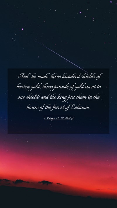 Picture 03 - 1 Kings 10:17 ASV Mobile Phone Wallpaper - And `he made' three hundred shields of beaten - Mobile Bible Verse Wallpaper