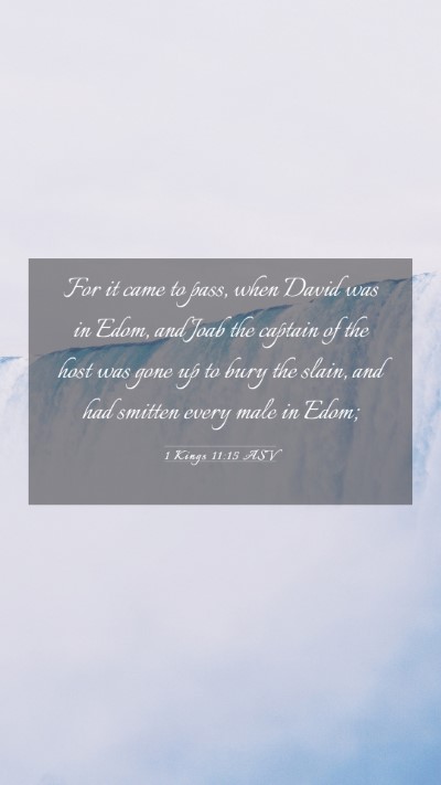 Picture 03 - 1 Kings 11:15 ASV Mobile Phone Wallpaper - For it came to pass, when David was in Edom, and - Mobile Bible Verse Wallpaper