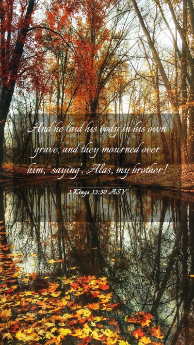 Picture 03 - 1 Kings 13:30 ASV Mobile Phone Wallpaper - And he laid his body in his own grave; and they - Mobile Bible Verse Wallpaper