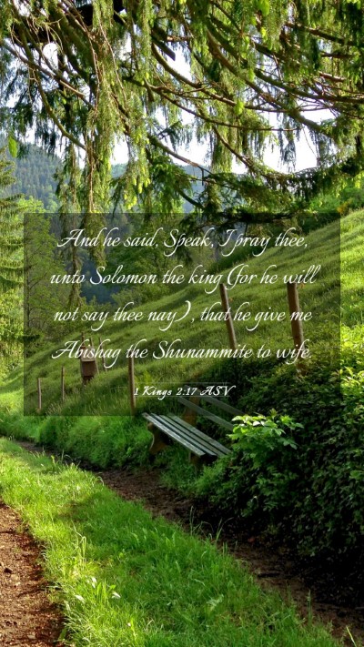 Picture 03 - 1 Kings 2:17 ASV Mobile Phone Wallpaper - And he said, Speak, I pray thee, unto Solomon the - Mobile Bible Verse Wallpaper