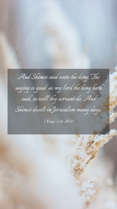 Picture 03 - 1 Kings 2:38 ASV Mobile Phone Wallpaper - And Shimei said unto the king, The saying is - Mobile Bible Verse Wallpaper
