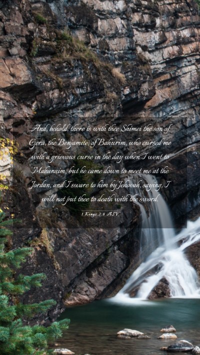 Picture 03 - 1 Kings 2:8 ASV Mobile Phone Wallpaper - And, behold, there is with thee Shimei the son of - Mobile Bible Verse Wallpaper