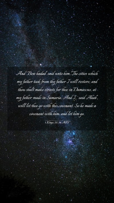 Picture 03 - 1 Kings 20:34 ASV Mobile Phone Wallpaper - And `Ben-hadad' said unto him, The cities which - Mobile Bible Verse Wallpaper
