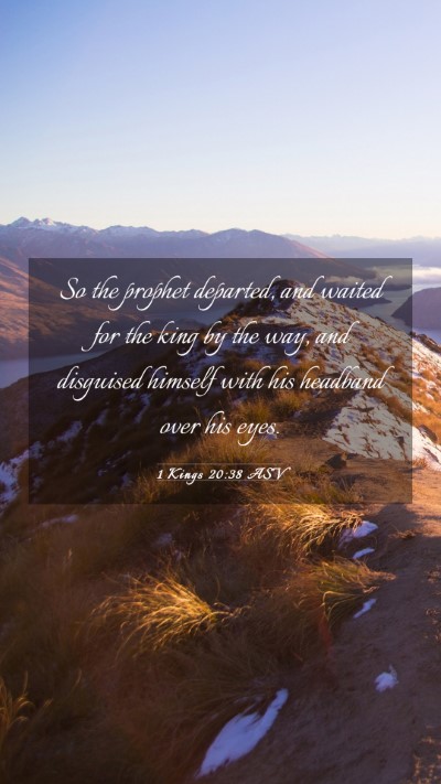 Picture 03 - 1 Kings 20:38 ASV Mobile Phone Wallpaper - So the prophet departed, and waited for the king - Mobile Bible Verse Wallpaper