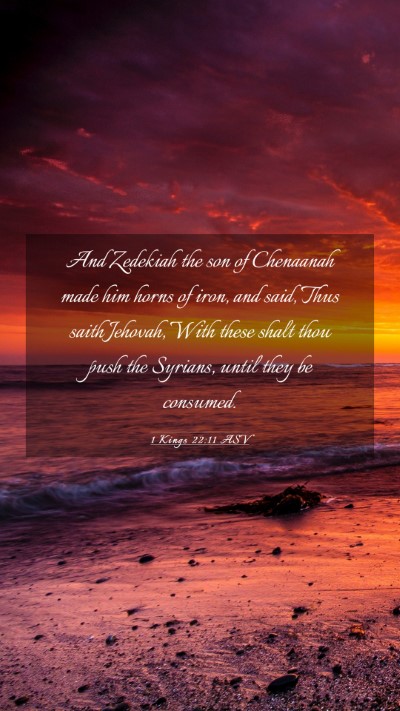 Picture 03 - 1 Kings 22:11 ASV Mobile Phone Wallpaper - And Zedekiah the son of Chenaanah made him horns - Mobile Bible Verse Wallpaper