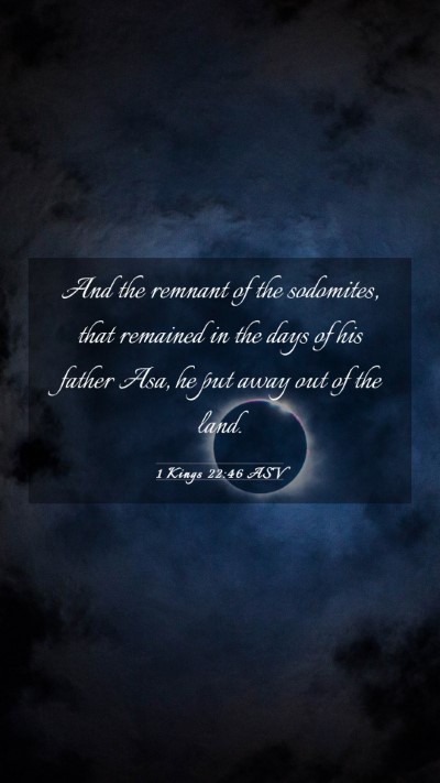 Picture 03 - 1 Kings 22:46 ASV Mobile Phone Wallpaper - And the remnant of the sodomites, that remained - Mobile Bible Verse Wallpaper