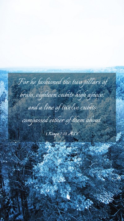 Picture 03 - 1 Kings 7:15 ASV Mobile Phone Wallpaper - For he fashioned the two pillars of brass, - Mobile Bible Verse Wallpaper