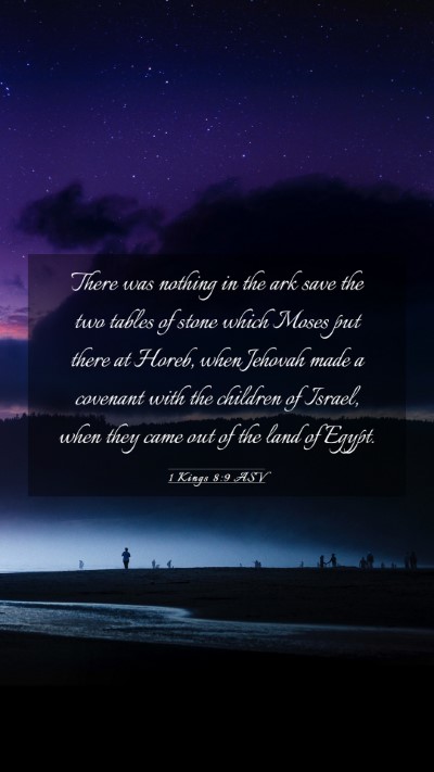 Picture 03 - 1 Kings 8:9 ASV Mobile Phone Wallpaper - There was nothing in the ark save the two tables - Mobile Bible Verse Wallpaper