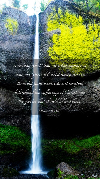 Picture 03 - 1 Peter 1:11 ASV Mobile Phone Wallpaper - searching what `time' or what manner of time the - Mobile Bible Verse Wallpaper