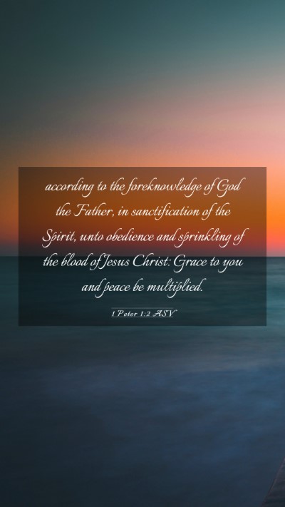 Picture 03 - 1 Peter 1:2 ASV Mobile Phone Wallpaper - according to the foreknowledge of God the Father, - Mobile Bible Verse Wallpaper