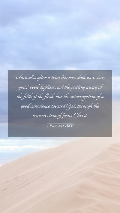 Picture 03 - 1 Peter 3:21 ASV Mobile Phone Wallpaper - which also after a true likeness doth now save - Mobile Bible Verse Wallpaper