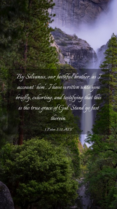 Picture 03 - 1 Peter 5:12 ASV Mobile Phone Wallpaper - By Silvanus, our faithful brother, as I account - Mobile Bible Verse Wallpaper