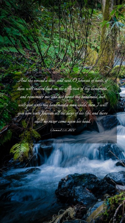 Picture 03 - 1 Samuel 1:11 ASV Mobile Phone Wallpaper - And she vowed a vow, and said, O Jehovah of - Mobile Bible Verse Wallpaper