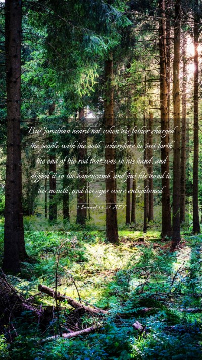 Picture 03 - 1 Samuel 14:27 ASV Mobile Phone Wallpaper - But Jonathan heard not when his father charged - Mobile Bible Verse Wallpaper