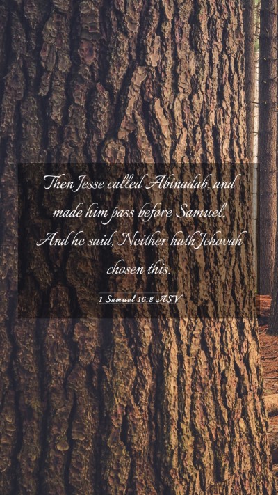 Picture 03 - 1 Samuel 16:8 ASV Mobile Phone Wallpaper - Then Jesse called Abinadab, and made him pass - Mobile Bible Verse Wallpaper