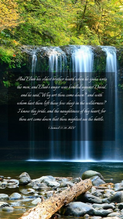 Picture 03 - 1 Samuel 17:28 ASV Mobile Phone Wallpaper - And Eliab his eldest brother heard when he spake - Mobile Bible Verse Wallpaper