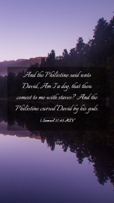 Picture 03 - 1 Samuel 17:43 ASV Mobile Phone Wallpaper - And the Philistine said unto David, Am I a dog, - Mobile Bible Verse Wallpaper