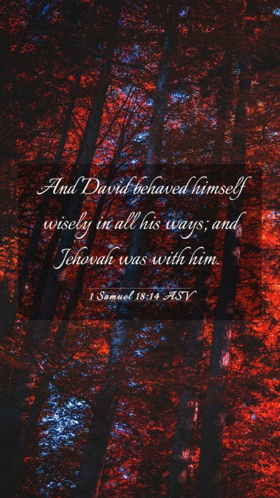 Picture 03 - 1 Samuel 18:14 ASV Mobile Phone Wallpaper - And David behaved himself wisely in all his ways; - Mobile Bible Verse Wallpaper