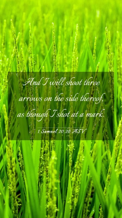 Picture 03 - 1 Samuel 20:20 ASV Mobile Phone Wallpaper - And I will shoot three arrows on the side - Mobile Bible Verse Wallpaper