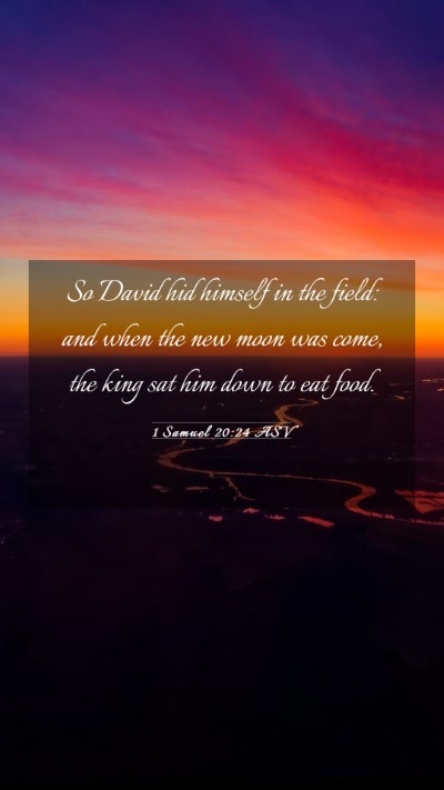 Picture 03 - 1 Samuel 20:24 ASV Mobile Phone Wallpaper - So David hid himself in the field: and when the - Mobile Bible Verse Wallpaper