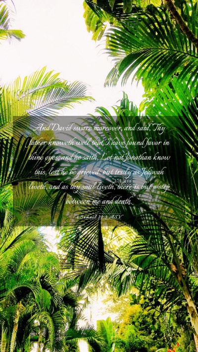 Picture 03 - 1 Samuel 20:3 ASV Mobile Phone Wallpaper - And David sware moreover, and said, Thy father - Mobile Bible Verse Wallpaper