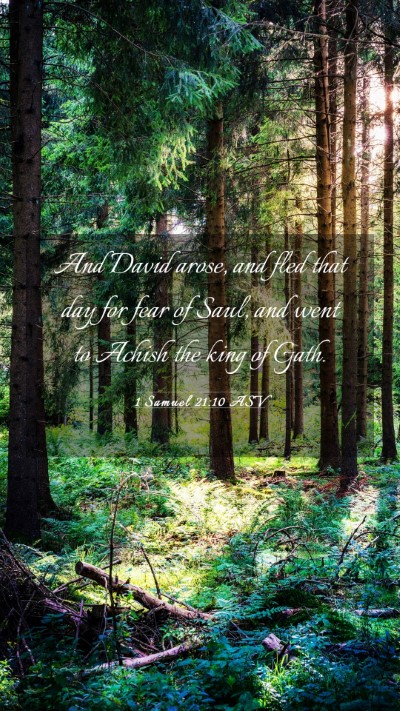 Picture 03 - 1 Samuel 21:10 ASV Mobile Phone Wallpaper - And David arose, and fled that day for fear of - Mobile Bible Verse Wallpaper