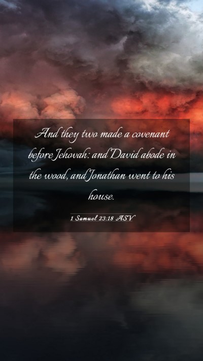 Picture 03 - 1 Samuel 23:18 ASV Mobile Phone Wallpaper - And they two made a covenant before Jehovah: and - Mobile Bible Verse Wallpaper
