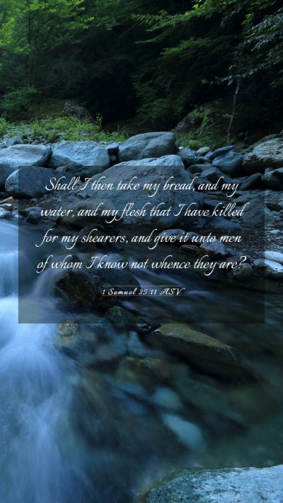 Picture 03 - 1 Samuel 25:11 ASV Mobile Phone Wallpaper - Shall I then take my bread, and my water, and my - Mobile Bible Verse Wallpaper