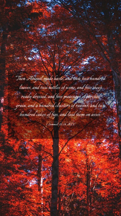 Picture 03 - 1 Samuel 25:18 ASV Mobile Phone Wallpaper - Then Abigail made haste, and took two hundred - Mobile Bible Verse Wallpaper