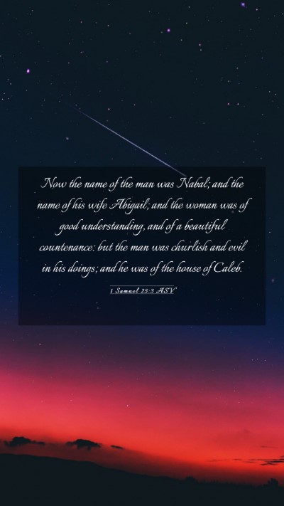 Picture 03 - 1 Samuel 25:3 ASV Mobile Phone Wallpaper - Now the name of the man was Nabal; and the name - Mobile Bible Verse Wallpaper