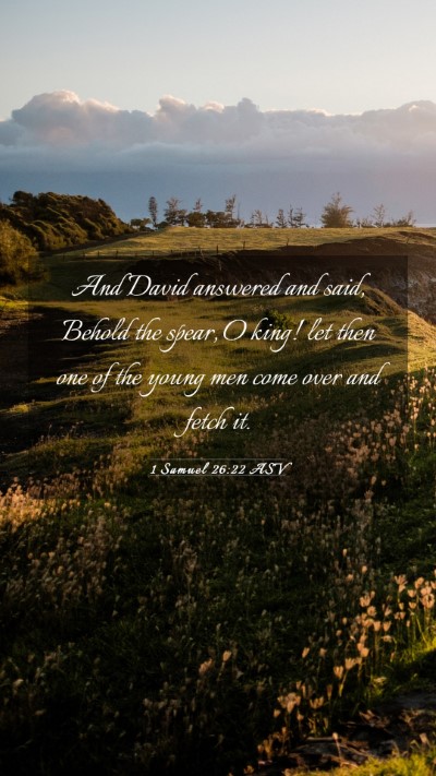 Picture 03 - 1 Samuel 26:22 ASV Mobile Phone Wallpaper - And David answered and said, Behold the spear, O - Mobile Bible Verse Wallpaper